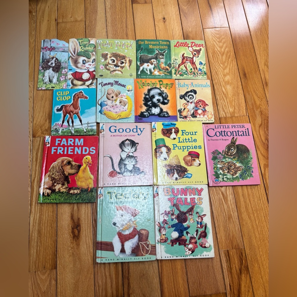 Vintage Rand McNally and Witman Children’s books in good condition.
